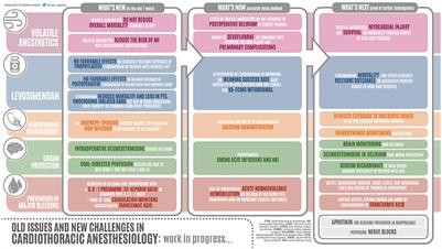 Old issues and new challenges in cardiothoracic anesthesiology: Work in progress…